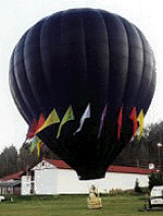bmino.gif (21901 Byte)