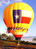 texas.jpg (18307 Byte)